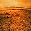Desert Wasteland