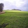 Field