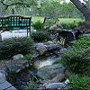 The Back Pond