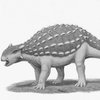Character Portrait: Tank the Ankylosaurus