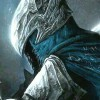 The Knights of Artorias