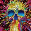 The Manic Mind of Man