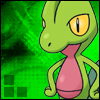 Character Portrait: Darragh the Treecko