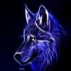 Character Portrait: Echo Wolf (Alex*)