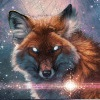 Character Portrait: Midgra
