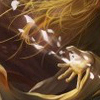 Character Portrait: Sol Siegmund