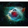 Character Portrait: Space Kitty Luna