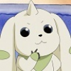 Character Portrait: Terriermon