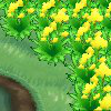 Pokemon Village