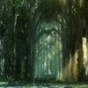 Upon Awakening