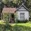 Cottage In The Woods