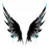 wings: The Institute